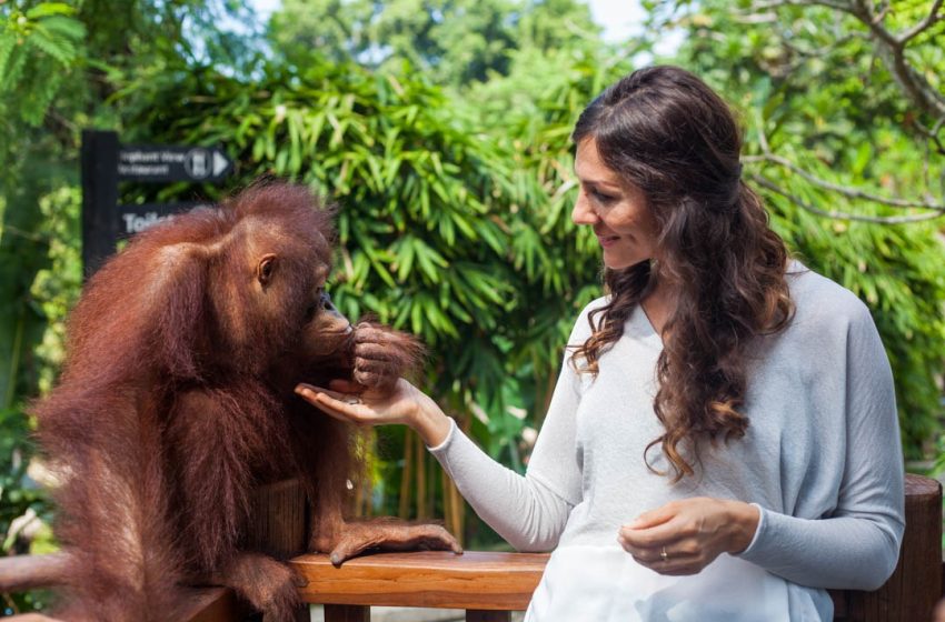  Sanctoo Suites & Villas Unlimited Access ke Bali Zoo