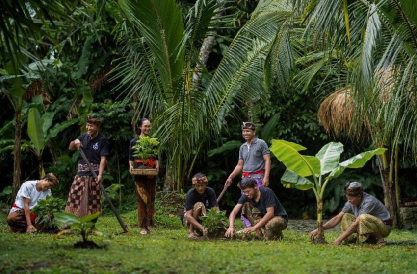  The Apurva Kempinski Bali Promosi Praktik Pertanian Menuju ‘Sustainable Agriculture’