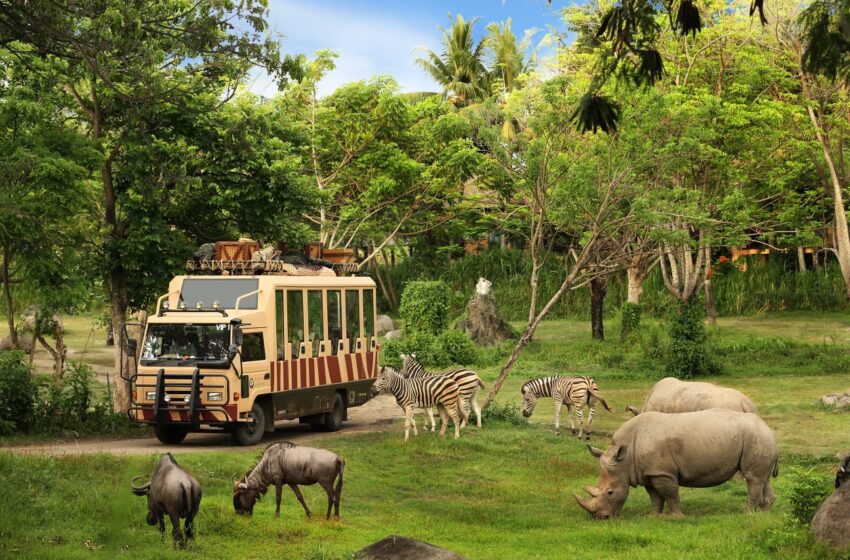  Taman Safari Bali, Destinasi Ideal dengan Keceriaan dan Petualangan yang Luar Biasa