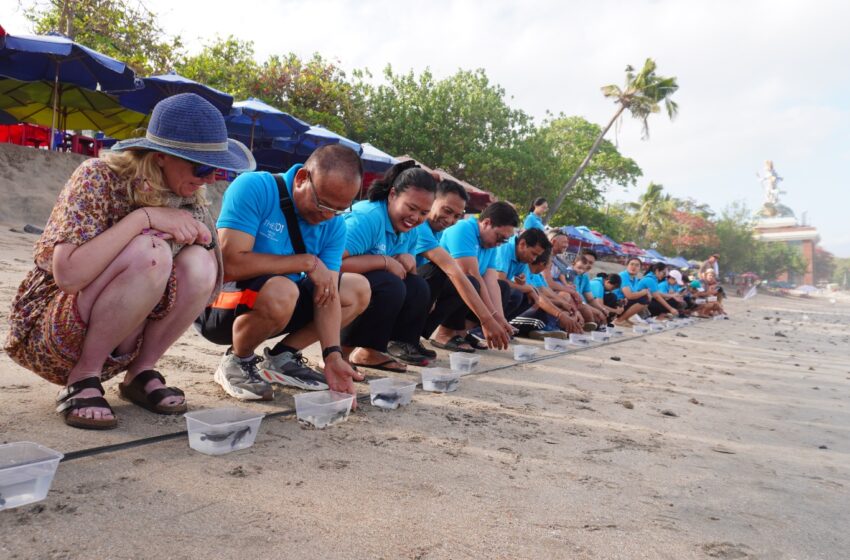  The 1O1 Bali Fontana Seminyak Melepas Tukik untuk Menjaga Lingkungan