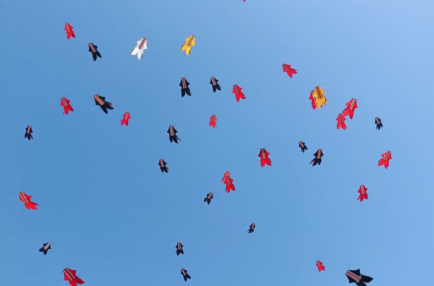  Denpasar Kite Festival IX: Ruang Kreativitas Generasi Muda untuk Menjaga Warisan Budaya