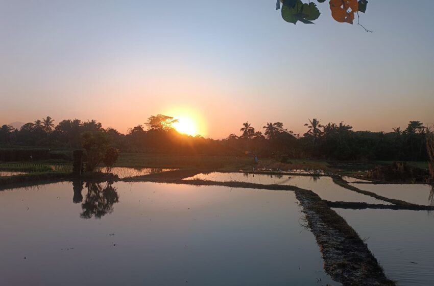  Refleksi Akhir Tahun Kawiya Bali: Pemajuan Kebudayaan Bali Perlu Ditopang Penguatan Ekonomi Krama  MENJEL